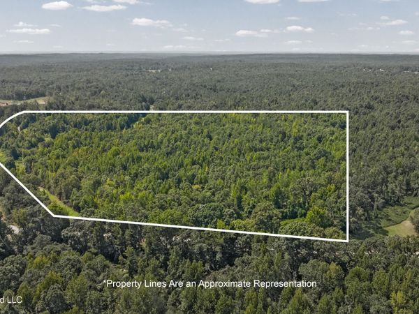 Musgray Road, Waterford, MS 38685