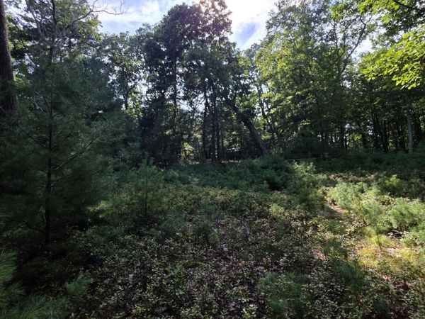 179 Mountain Top Drive, Dingmans Ferry, PA 18328