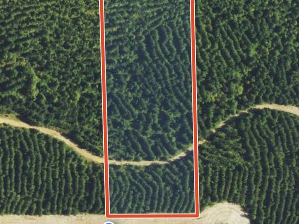 765 Freedom Ridge Lane, Brandon, MS 39047