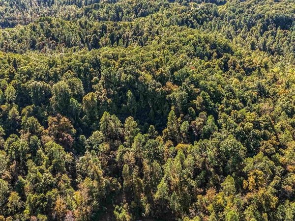 Tract 4 Indian Trail, Catlettsburg, KY 41120