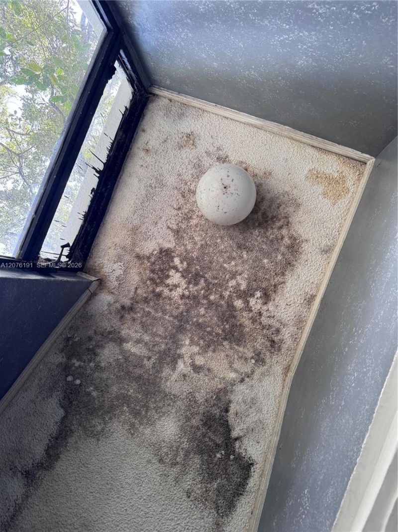 3024 Day Ave , Unit 3024, Miami, FL 33133 Photo