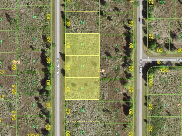 238, 246 & 254 MORALES STREET , PORT CHARLOTTE, FL 33953