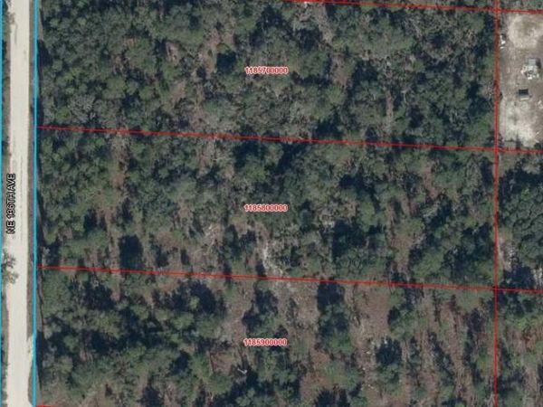 NE 136TH AVENUE , WILLISTON, FL 32696
