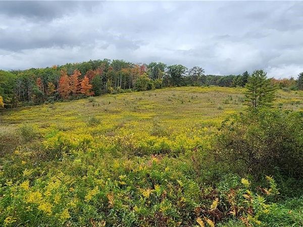Hanyon Road , Canisteo, NY 14823