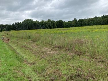 9027 Schuster Rd, Dansville, NY 14437