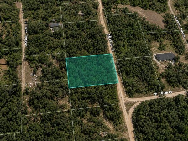 SE 187TH COURT , OCKLAWAHA, FL 32179