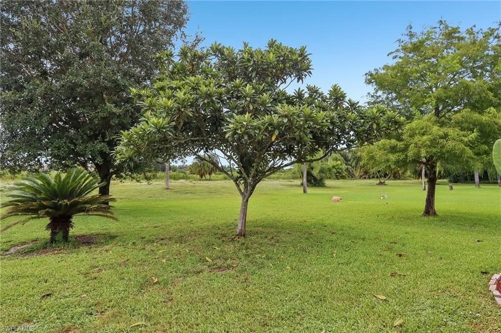 19906 Lake Vista Cir, Lehigh Acres, FL 33936 Photo