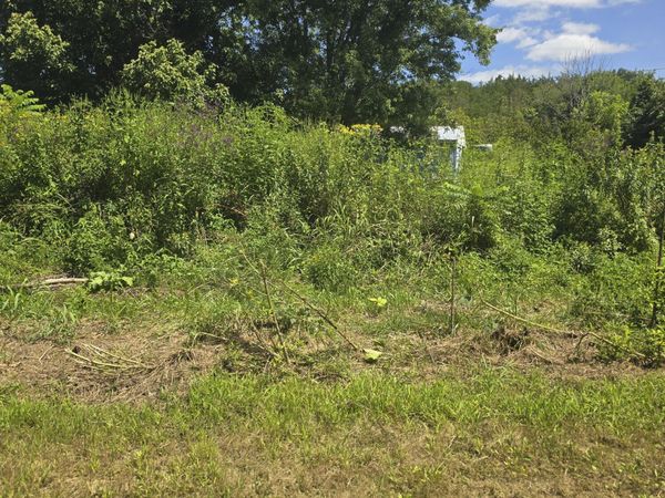 152 & 138 Wilmoth Lane, Washburn, TN 37888