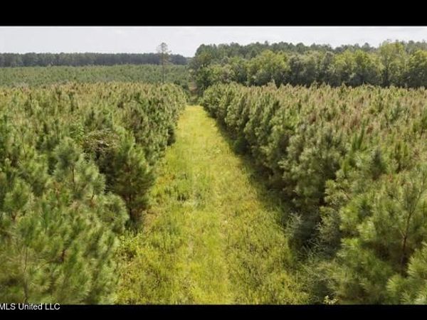 Ten Mile Creek Road, Tylertown, MS 39667