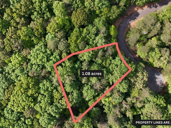 0 Terry Court, Clarkesville, GA 30523