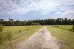 5124 Highway 76 photo 4