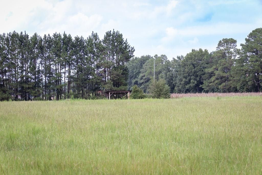 5124 Highway 76 Photo 39