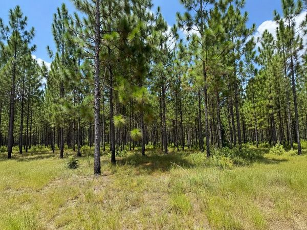 Parcel 4 Miller Farm Rd., Lumberton, MS 39455