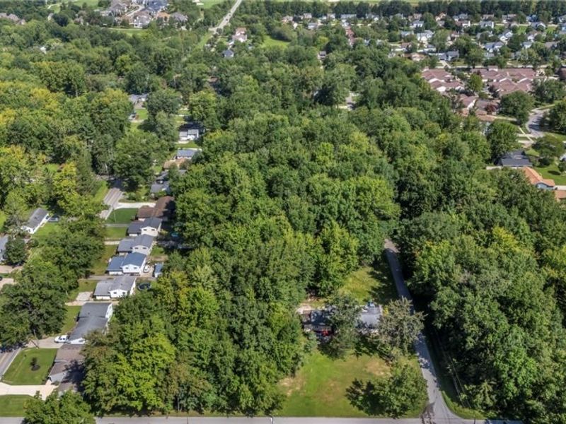 Roosevelt Avenue, North Ridgeville, OH 44039 Photo 8