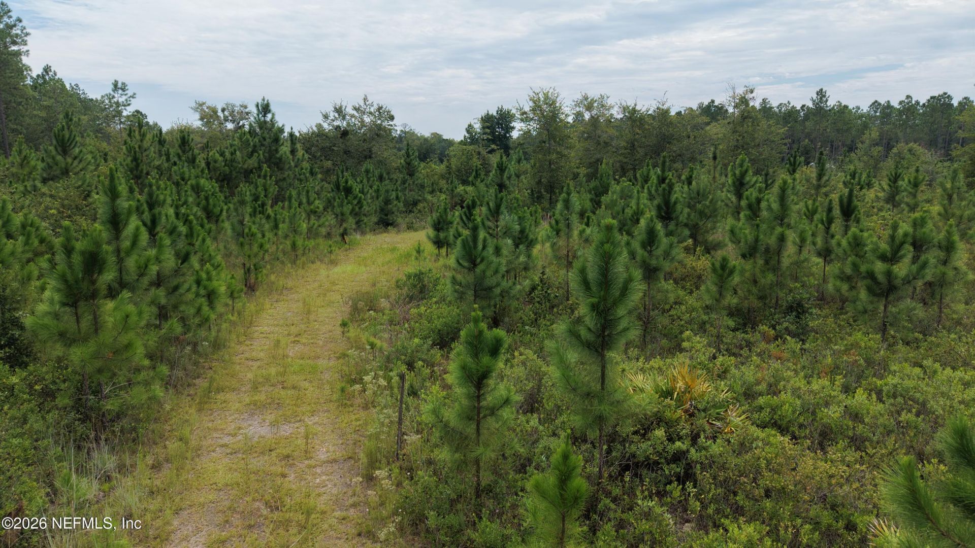 0 Mcclelland Road, Jacksonville, FL 32234 Photo
