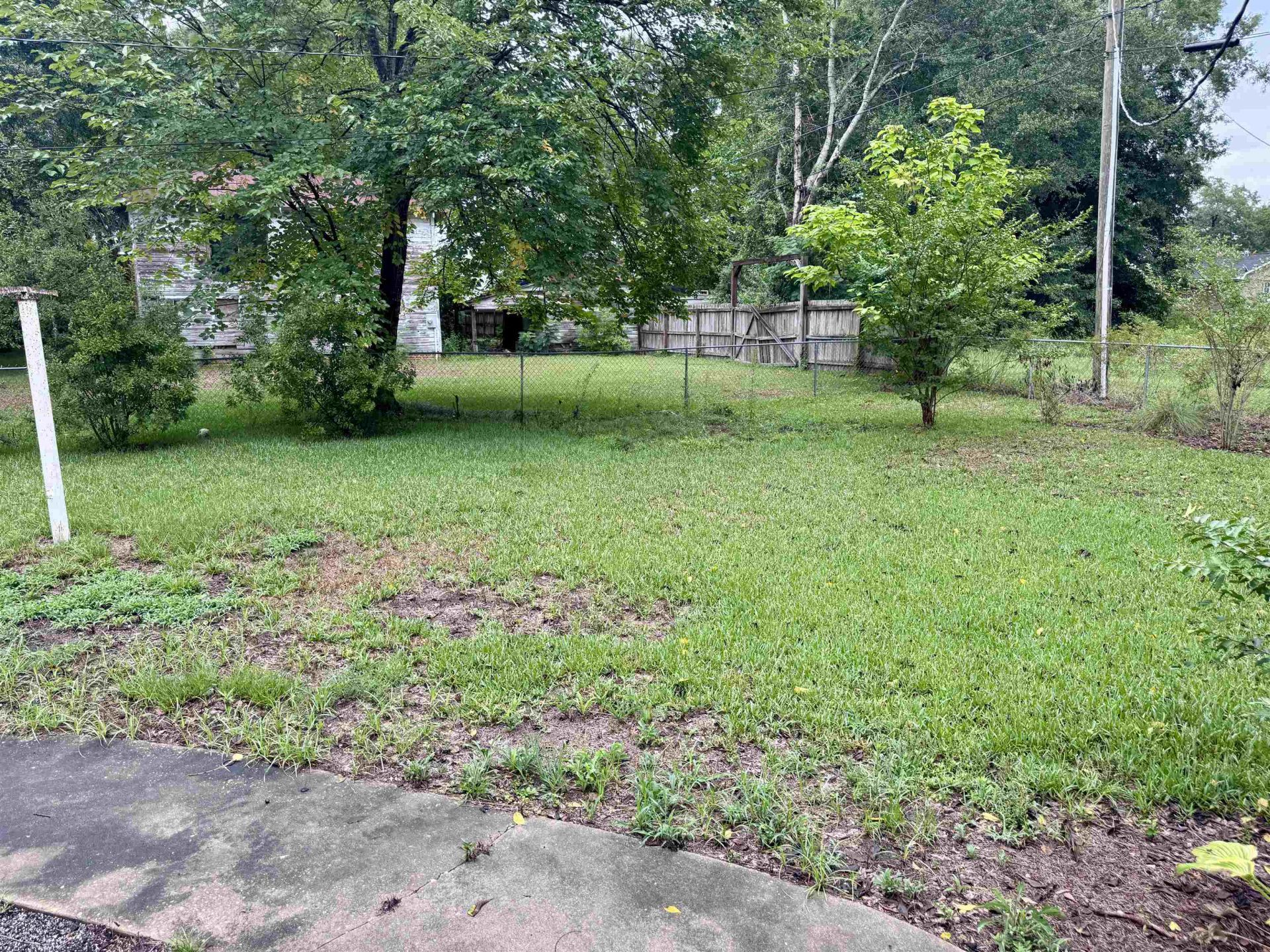 103 E Elmwood St.  Photo 12