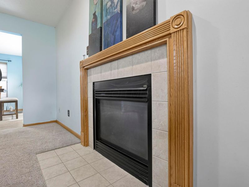 6863 Spring Bloom Drive, Canal Winchester, OH 43110 Photo 9