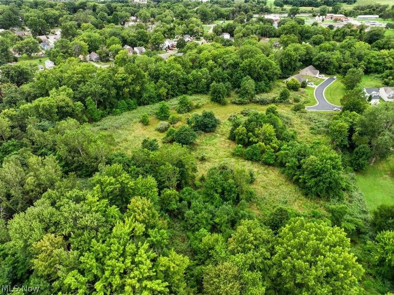Lighthouse Pointe Drive, Painesville, OH 44077 Photo 3