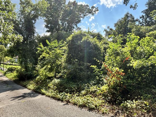 319 Mission Crest Lane, Chattanooga, TN 37404