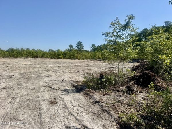 0 Dowd Dairy Road , White Oak, NC 28399