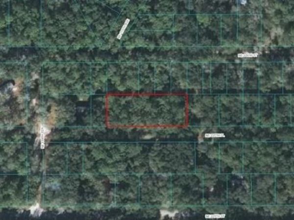 225TH PLACE , FORT MC COY, FL 32134