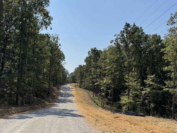 0 Longwood Court, Unit 50, Mc Ewen, TN 37101