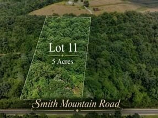 Lot 11 Smith Mountain Rd, Rockwood, TN 37854