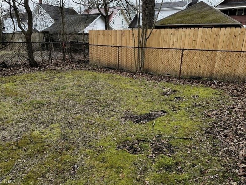273 Alameda Avenue, Youngstown, OH 44504 Photo 2