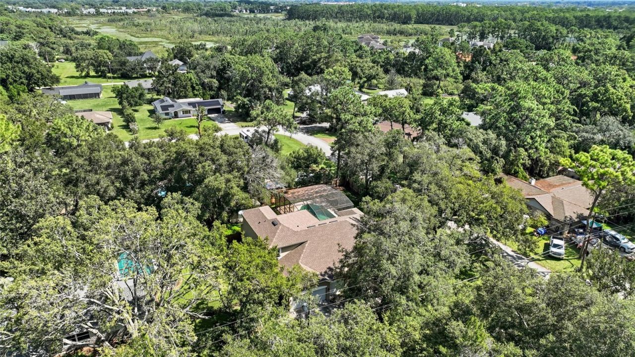 1200 Alberta Street, Longwood, FL 32750 Photo