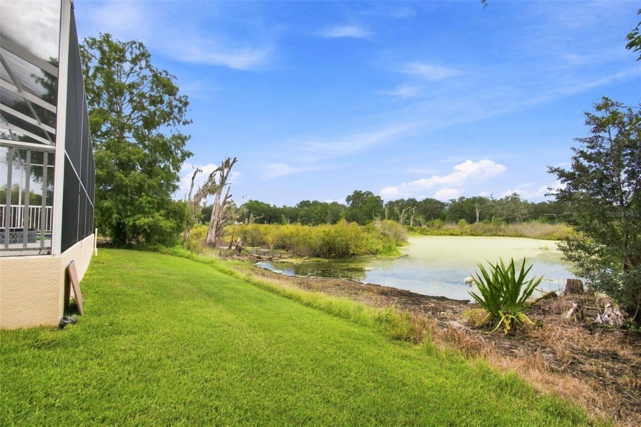 5102 Delacroix Drive, Brooksville, FL 34604 Photo
