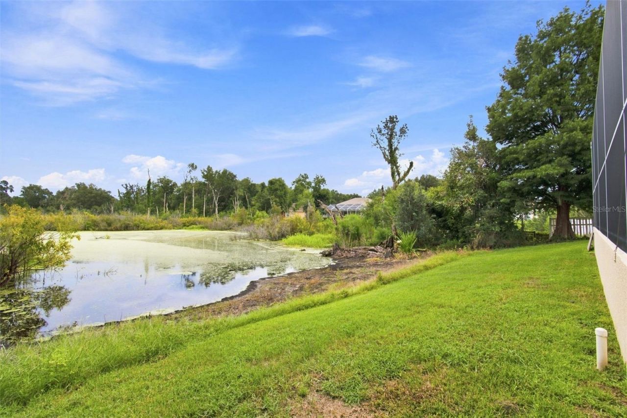 5102 Delacroix Drive, Brooksville, FL 34604 Photo