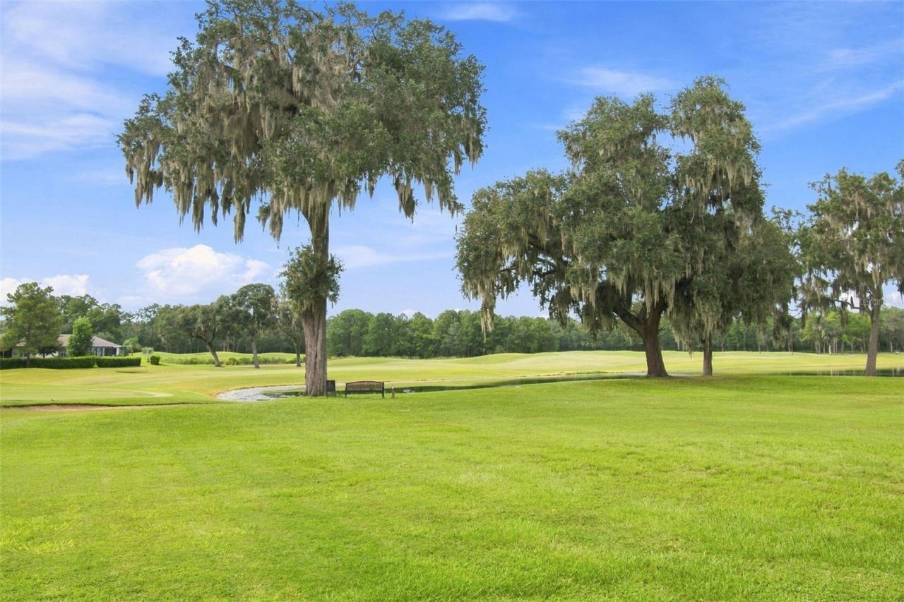 5102 Delacroix Drive, Brooksville, FL 34604 Photo