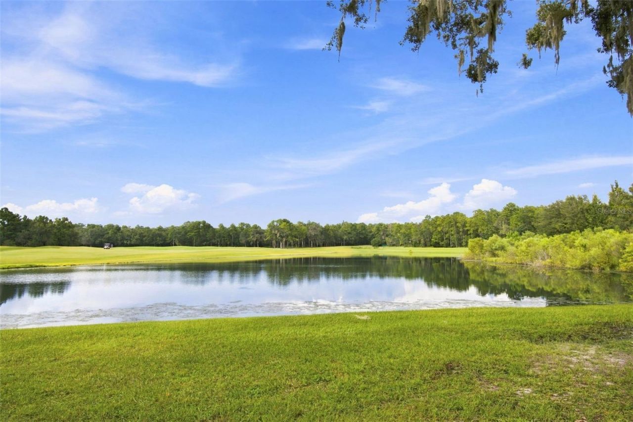 5102 Delacroix Drive, Brooksville, FL 34604 Photo