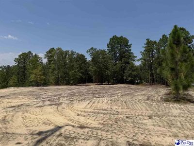 Lot 3 Patrick Highway, Hartsville, SC 29550