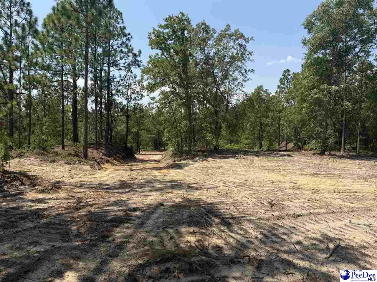 Lot 3 Patrick Highway Photo 4