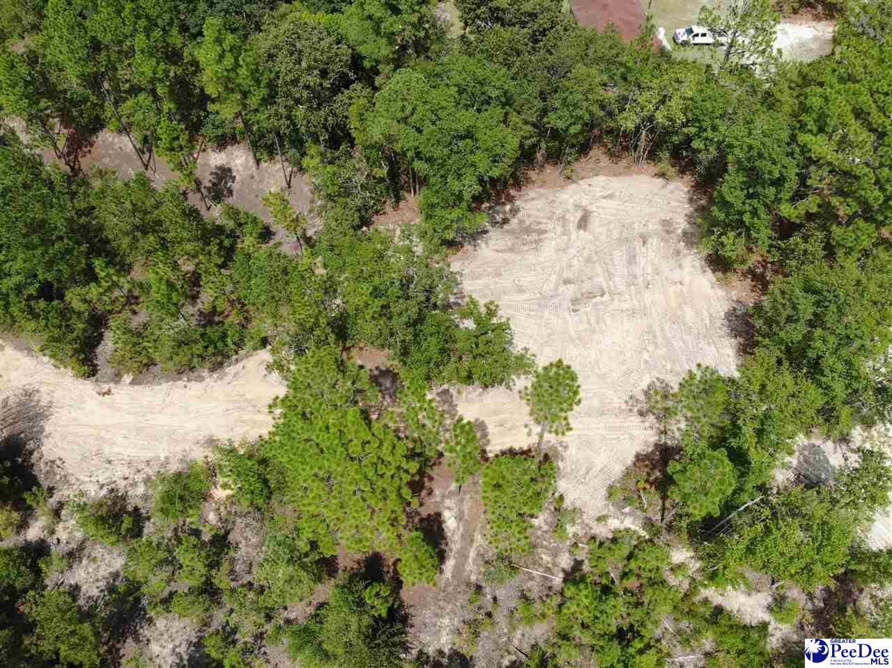 Lot 3 Patrick Highway Photo 8