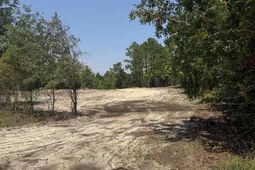 Lot 2 Patrick Highway photo 4