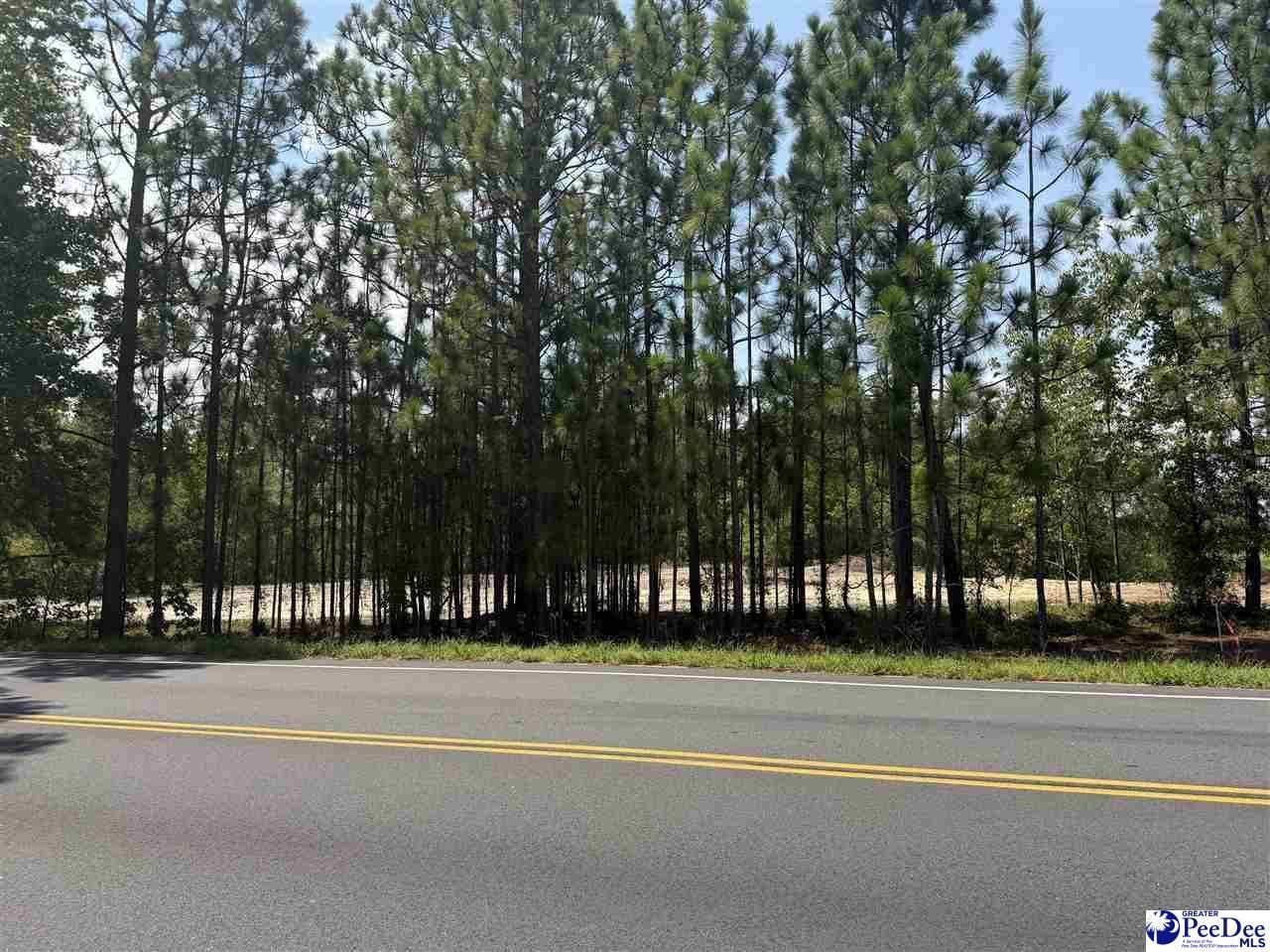 Lot 2 Patrick Highway Photo 4