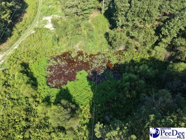 1433 Clyde School Rd Photo 11