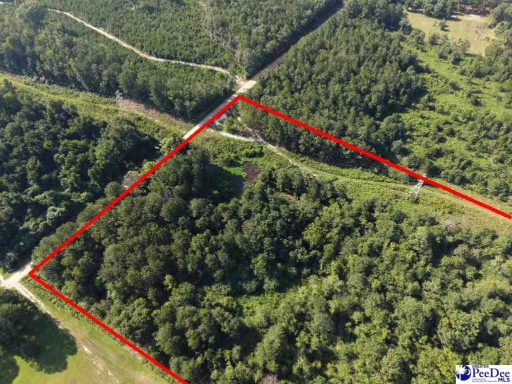 1433 Clyde School Rd Photo 4