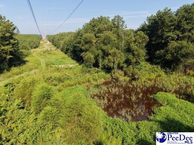 1433 Clyde School Rd Photo 8
