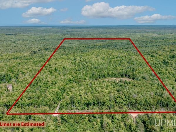 673 & 685 Yalmer Road, Skandia Twp, MI 49885