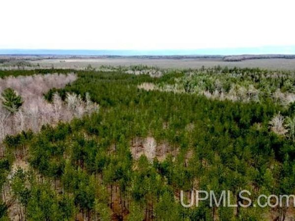 TBD Co Rd 440 Road, Masonville Twp, MI 49849