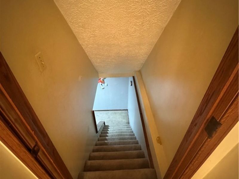 142 Pine Lane, Barnesville, OH 43713 Photo 36