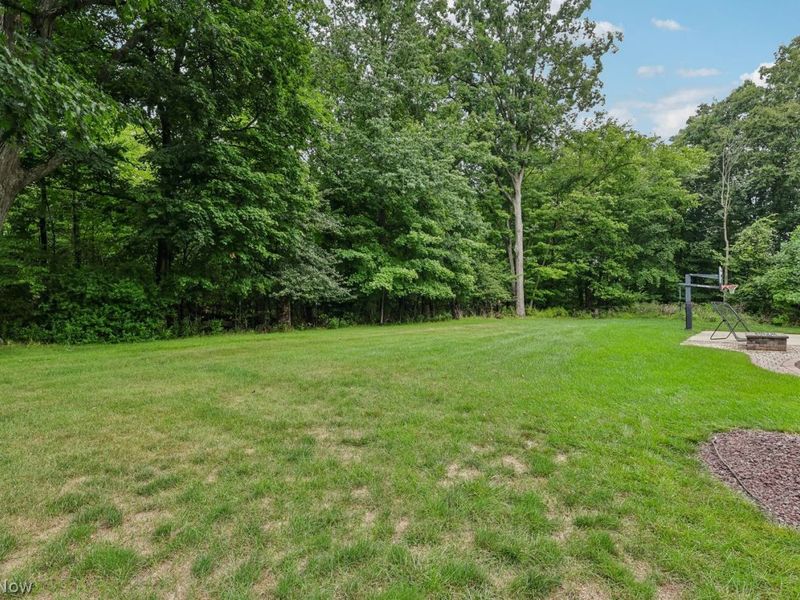 6836 Kyle Ridge Pointe, Canfield, OH 44406 Photo 5