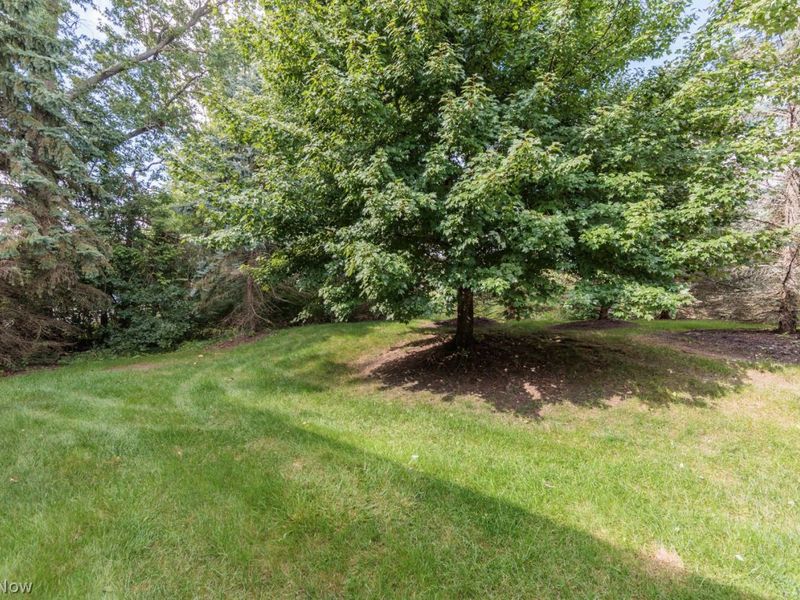 1209 Windmill Way S, Avon, OH 44011 Photo 20