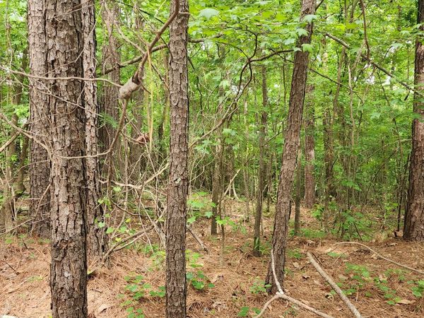 0000 Rabbit Farm Road, Loganville, GA 30052