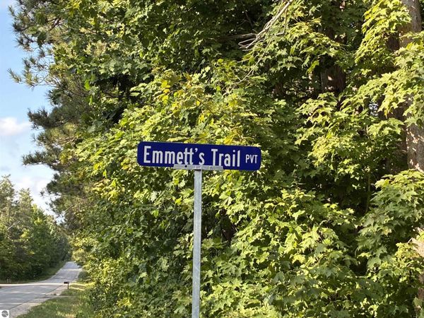 Emmett???s Trail, Lake Ann, MI 49650