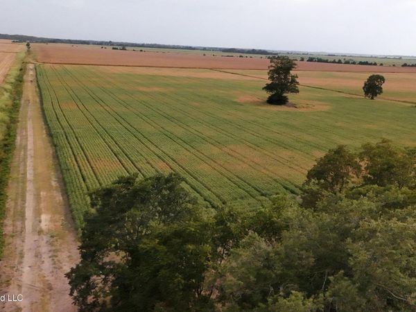 3342 Campbell Road, Tutwiler, MS 38963