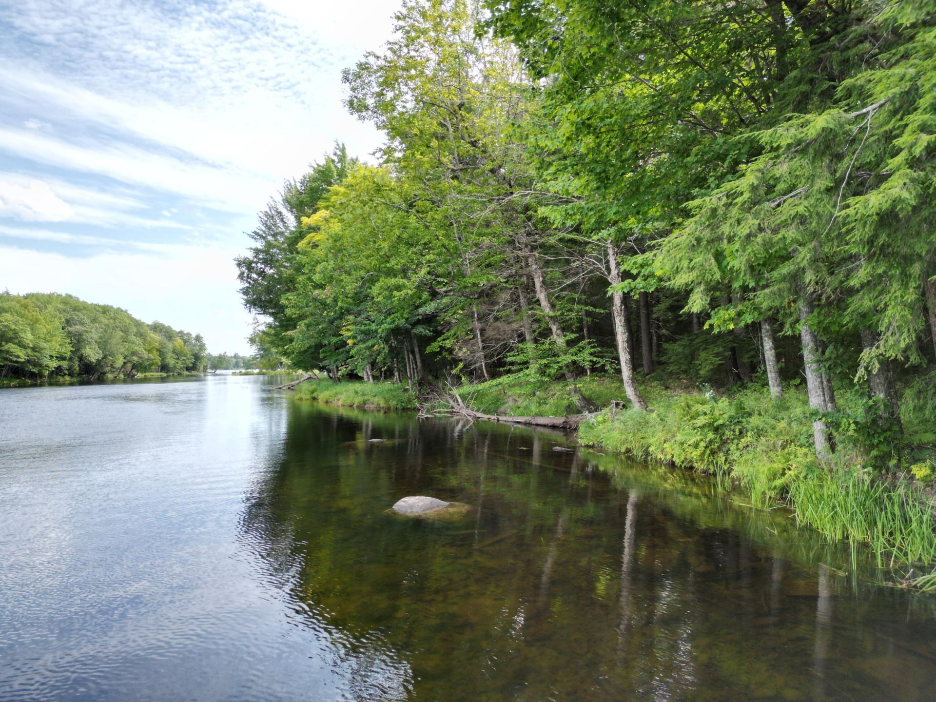 Lot 4 Off Mattamiscontis Road, Howland, ME 04448 Main Photo